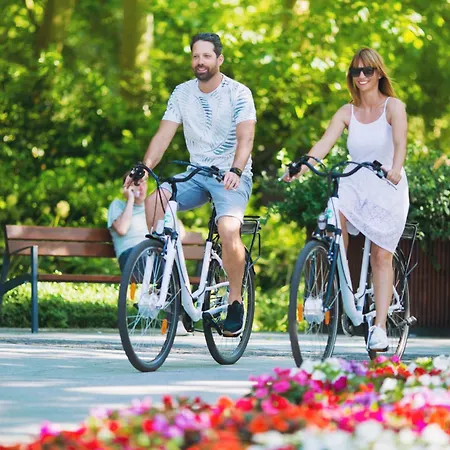 Hébergement de vacances Kertes Nyaralohaz
